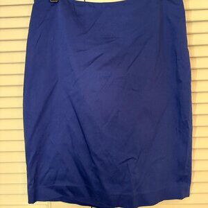 The Limited Blue Pencil Skirt | Size 2